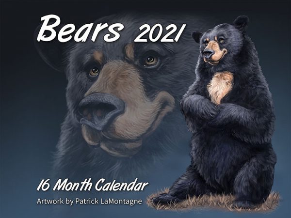 Bears 16 month Calendar 2021