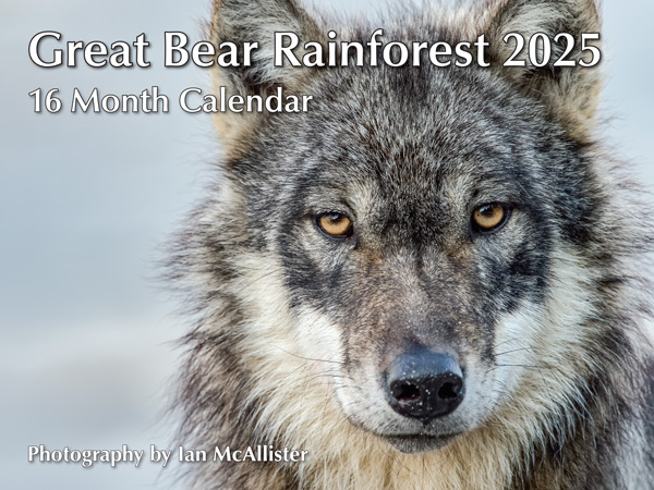 PMIM2025 Great Bear Rainforest Calendar 2025 front