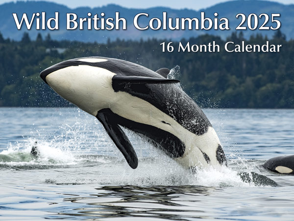 Wild British Columbia 16 Month Calendar 2024 by various photographers.